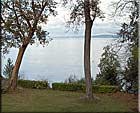 Oceanfront Paradise Rental
