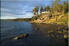 Lasqueti Wilderness Retreat Vacation Rental
